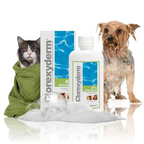 Clorexyderm 4 Shampoo for Dogs & Cats Dry Itchy Skin Relief Antibacterial & Antifungal