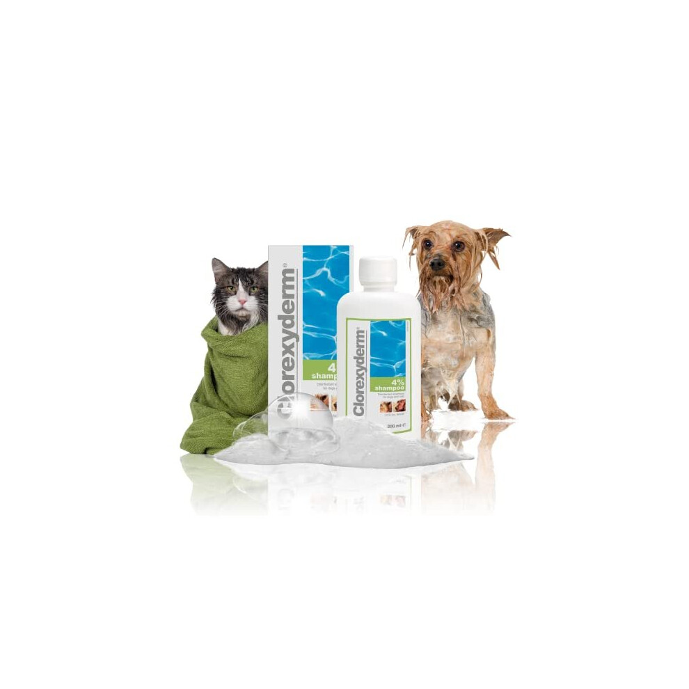 Icf Clorexyderm 4% Shampoo For Dogs & Cats - Dry Itchy Skin Relief - Antibacterial & Anti-Fungal - Moisturises Pet Skin & Coat - Reduces Bad Odours