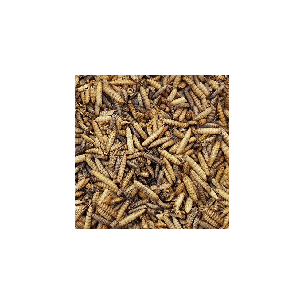 5kg Croston Corn Mill 'Wheatsheaf' Dried Calciworms for Wild Birds (Higher in calcium than Mealworms, better alternative for Hedgehogs)