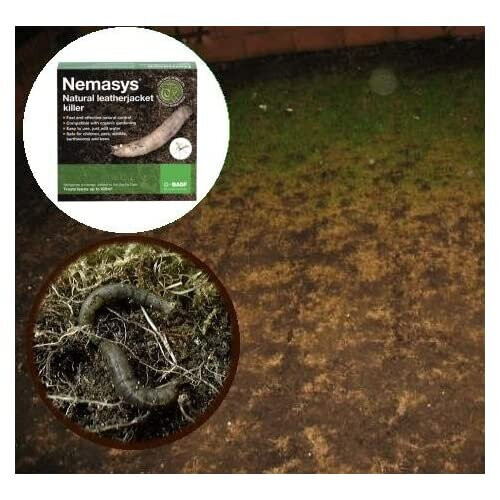 Nemasys leatherjacket killer (100sqm pack) 1