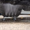 Pro-Kleen (Black & Decker) Chassis Cleaner Pressure Washer 6 Adaptor Options 13