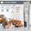 Pro Pet Dog Grooming Clipper Πυκνή γούνα τρίψιμο τρίχας Ηλεκτρική ξυριστική μηχανή 9