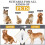 Pro Pet Dog Grooming Clipper Πυκνή γούνα τρίψιμο τρίχας Ηλεκτρική ξυριστική μηχανή 10