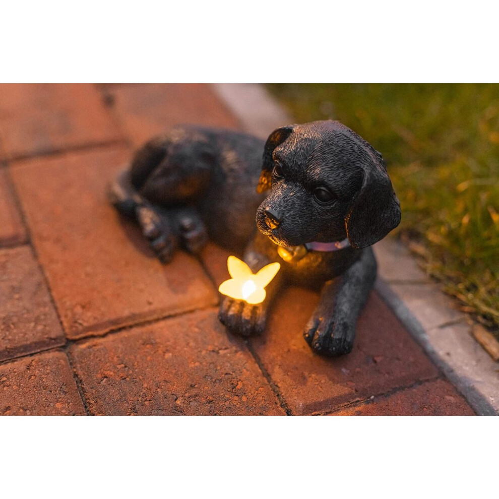 Solar Labrador Puppy Garden Ornaments LED Butterfly Black Weatherproof