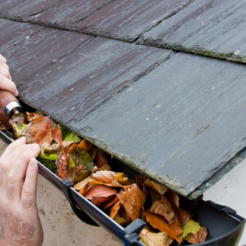 Gardeners Dream (16M) Groundmaster - Black Gutter Guard Brush - Drain Debris Downpipe Leaves Filter 1