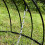 Selections Ground Bird Feeder Haven Cage 5