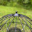Selections Ground Bird Feeder Haven Cage 7