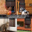 (brown) Automatic Chicken Coop Door, Full Aluminum Doors, Light Sensing 3