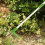 Weed Puller Steel Claw Weed Remover Weeding Root Killer Hand Tool 10