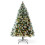 (6ft) VeryMerry 'Claudia' Pre Lit Frosted Christmas Tree 1