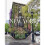 Walk With Me New York - Book 1