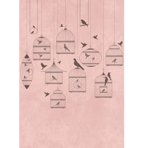 AS Creation AS Creation Bird Cage Pink Wallpaper Feature Wall Mural 159 x 280cm 2