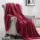 (Red, Double) Fleece Blanket Thick Bed Mink Soft Warm Sofa Throw 2