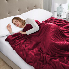 (Red, Double) Fleece Blanket Thick Bed Mink Soft Warm Sofa Throw