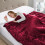 (Red, Double) Fleece Blanket Thick Bed Mink Soft Warm Sofa Throw 1