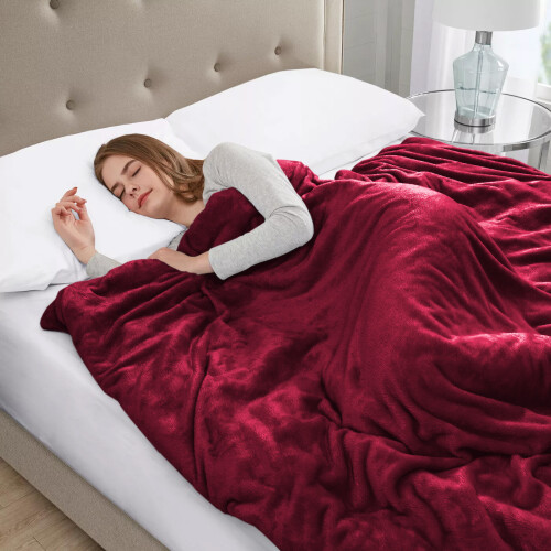 (Red, Double) Fleece Blanket Thick Bed Mink Soft Warm Sofa Throw