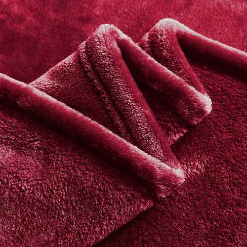 (Red, Double) Fleece Blanket Thick Bed Mink Soft Warm Sofa Throw 2