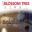 NETTA (6ft, Cool White) NETTA LED Blossom Tree with 8 Functions and Timer 2