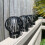 Selections Gutter Downpipe Filter Guard Leaf and Debris Protection (Set of 4) 4