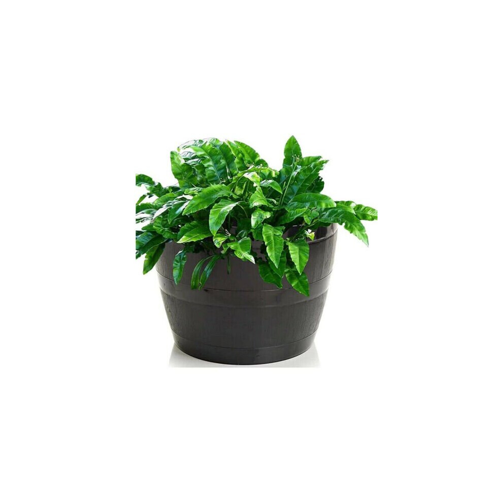 (50 cm set of 2) Barrel Pot Black Planter grow plant flower Vegetable plant Grow Garden plastic