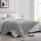 (Silver, Single) Fleece Blanket Thick Bed Mink Soft Warm Sofa Throw 5