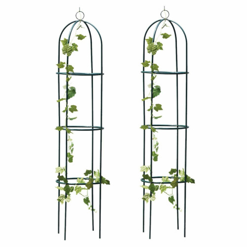 True Face (2 Pack) Garden Obelisk Metal Climbing Plants 1 & 2 Pack