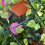 True Face (2 Pack) Garden Obelisk Metal Climbing Plants 1 & 2 Pack 3