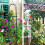 True Face (2 Pack) Garden Obelisk Metal Climbing Plants 1 & 2 Pack 4