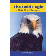 Bald Eagle of Alaska, BC and Washington