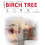 NETTA (6ft) NETTA Birch Tree with Warm White Lights - White 2