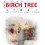 NETTA (5ft) NETTA Birch Tree with Warm White Lights - White 2