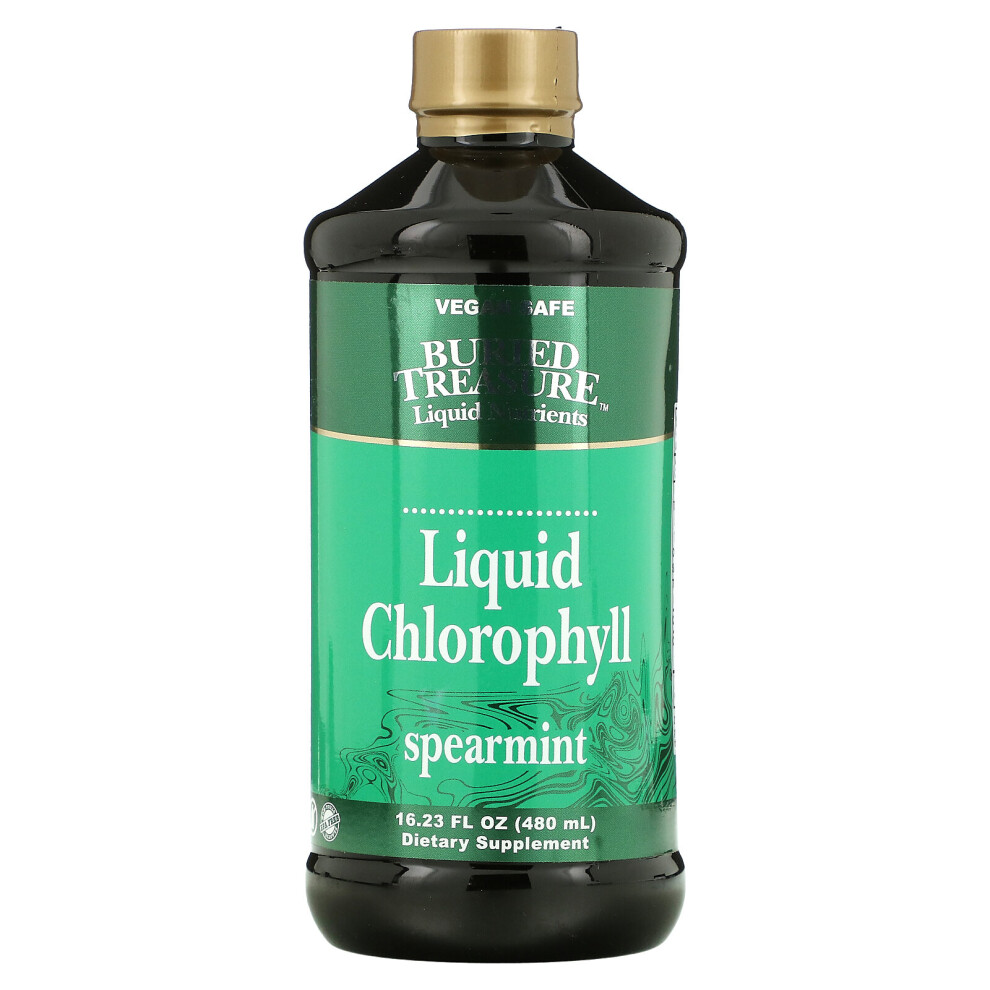 Buried Treasure , Liquid Chlorophyll, Spearmint, 16.23 Fl Oz (480 Ml)