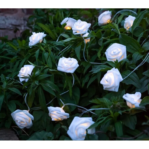 Solar Powered Garden 2 m x Rose Flower LED String Lights 1