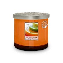 Heart & Home Citrus Crush Twin Wick Scented Ellipse Candle In Glass Jar