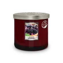Heart & Home Simply Mulberry Twin Wick Scented Ellipse Candle In Glass Jar