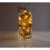 Solar Powered Rope Lights | 4 Metre | 50 x LEDs | No Electrics 2