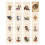 (15pcs Mini) MonsterHunter Rise：Sunbreak Amiibo Cards 2
