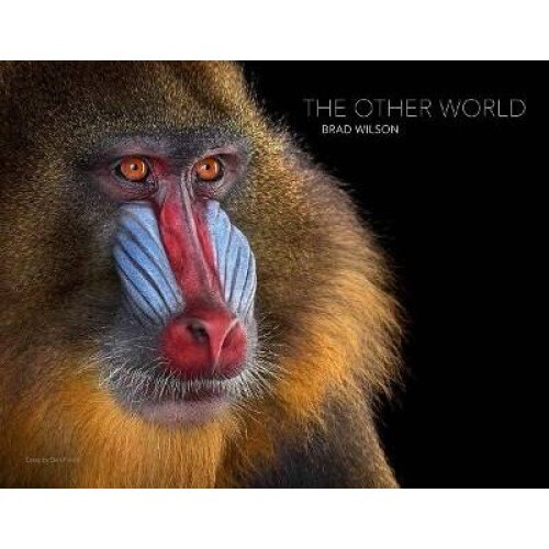 The Other World: Animal Portraits