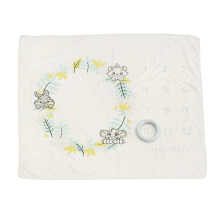 Enchanting Disney Baby Themed Milestone Photo Blanket Baby Shower Gift