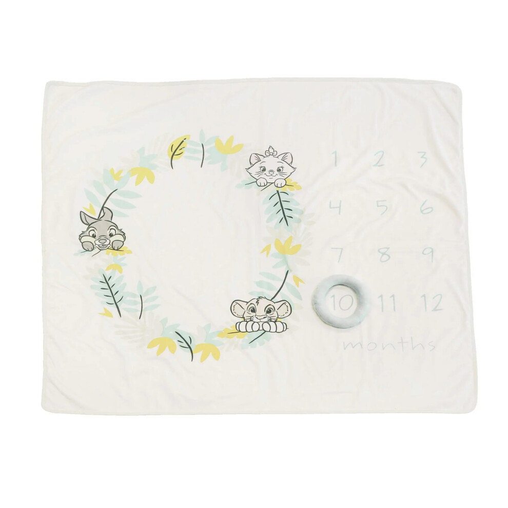 Enchanting Themed Milestone Photo Blanket Baby Shower Gift Disney Baby