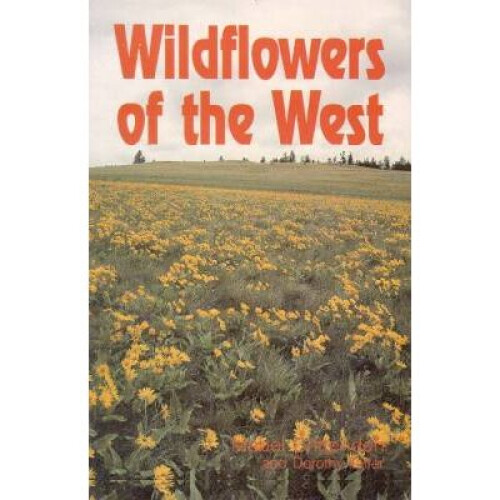 Wildflowers of the West