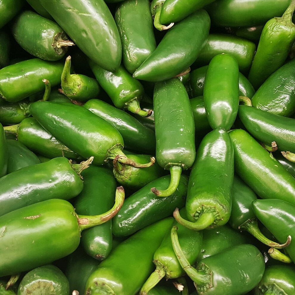 Chilli Jalapeno Seeds (Capsicum annuum)