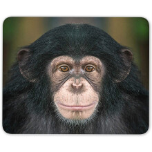 Chimpanzee Portrait Mouse Mat Pad - Ape Monkey Dad Son Fun Computer #14240