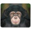 Chimpanzee Portrait Mouse Mat Pad - Ape Monkey Dad Son Fun Computer #14240 1