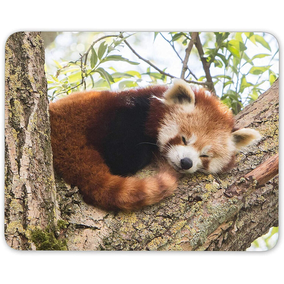 Cute Lesser Panda Mouse Mat Pad - Animal Tree Bear Kids Computer #14217 Red 7625883654282