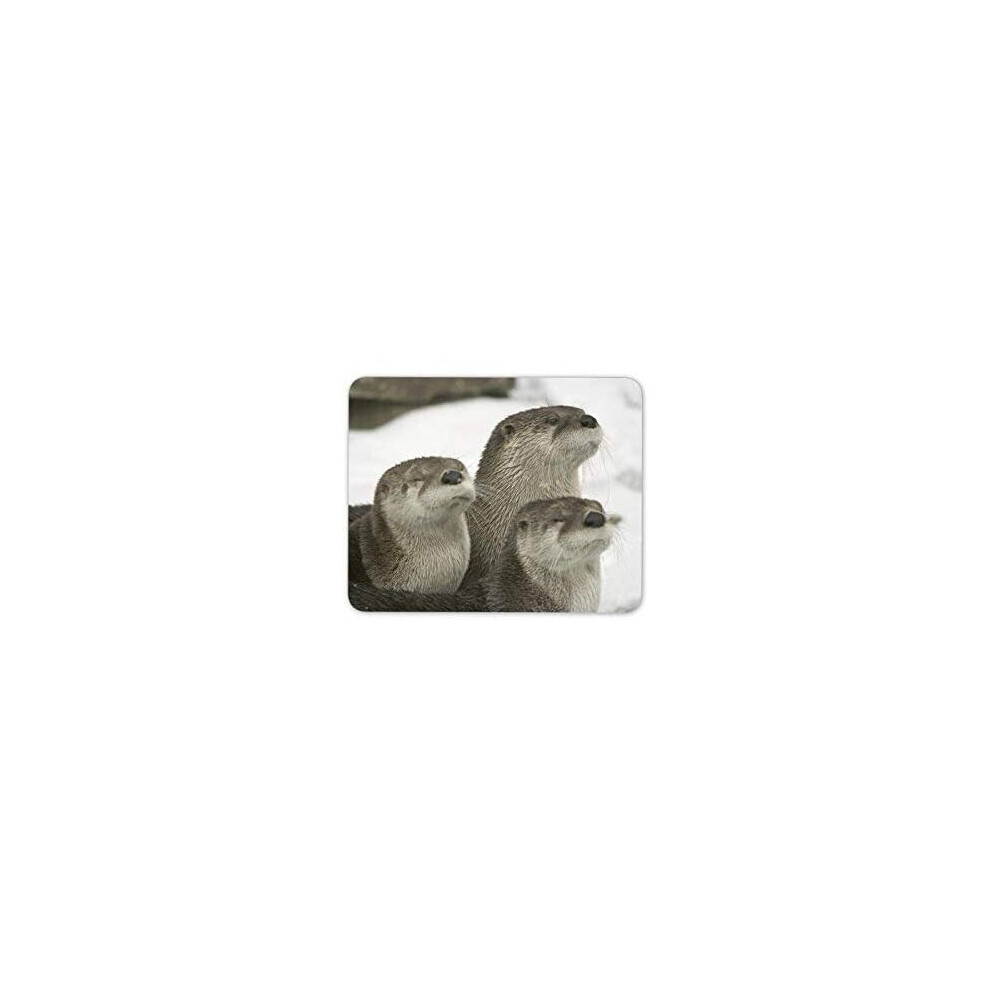 Beautiful Otters Mouse Mat Pad - Otter Marine Animal Fun Gift Pc Computer #8534 7625893610681