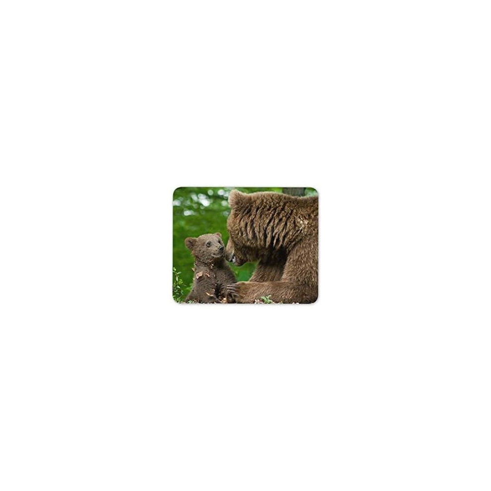 Mother & Cub Bear Mouse Mat Pad - Bears Wild Animal Gift Pc Computer #8261 Brown 7625889248140