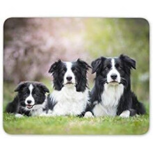 Border Collie Family Mouse Mat Pad - Dog Dogs Puppy Farm Fun Computer #8625