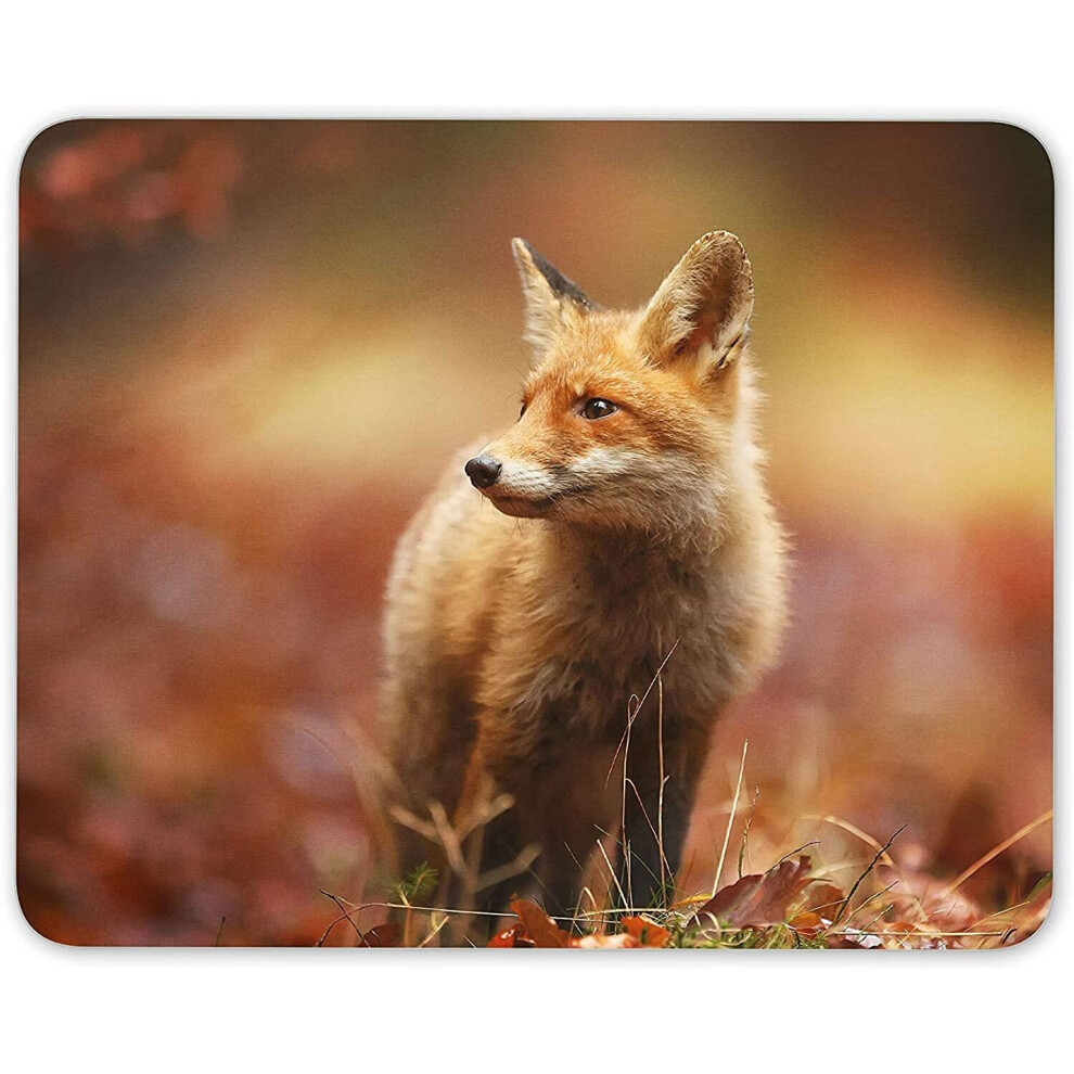 Wild Ginger Fox Mouse Mat Pad Gift Animal Dog Wildlife Computer Pc Gift #8116 7625659385884