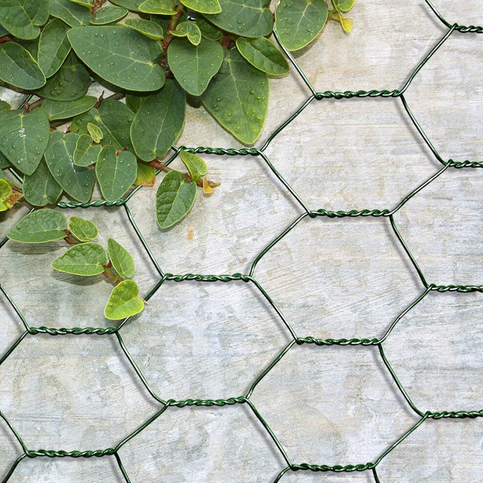 Chicken Wire Garden Roll Green Wire Border Fencing Edging 25cm x 10m